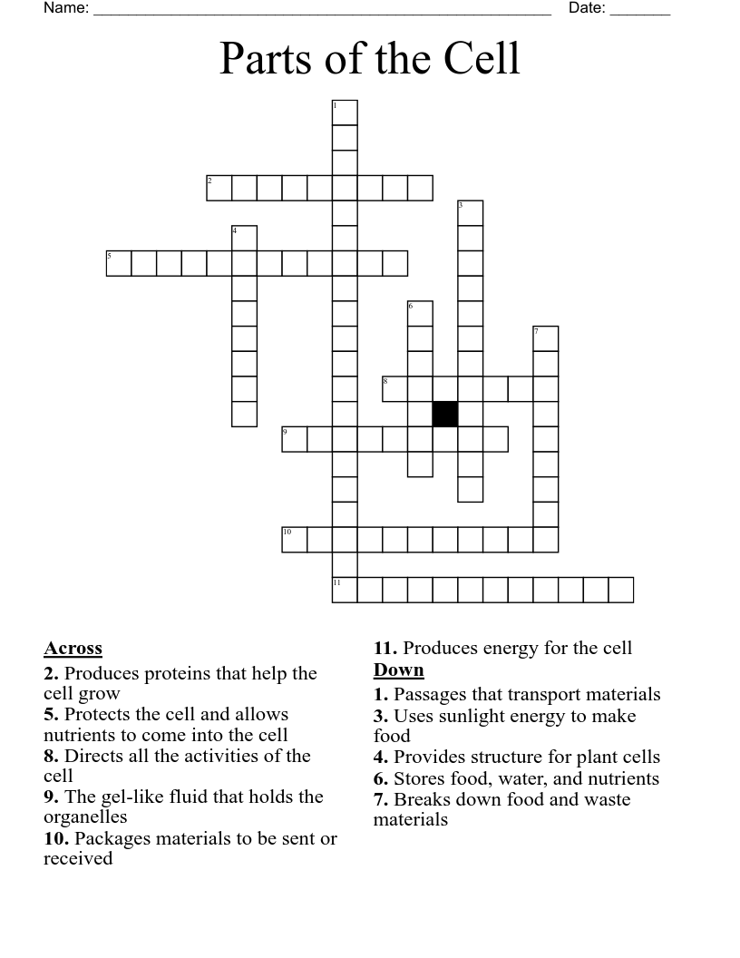 Parts of the Cell Crossword