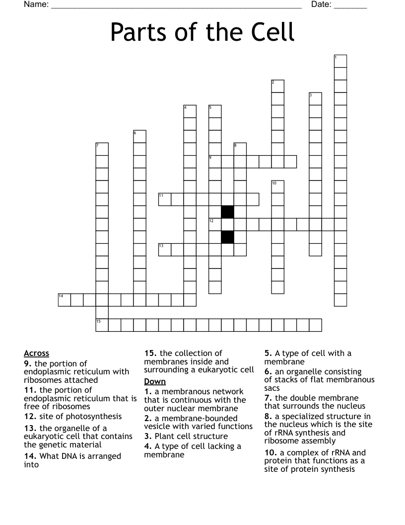 Parts of the Cell Crossword