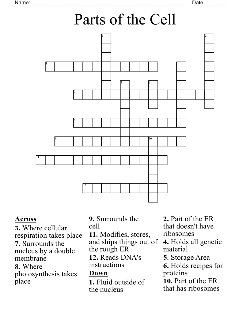 Parts of the Cell Crossword