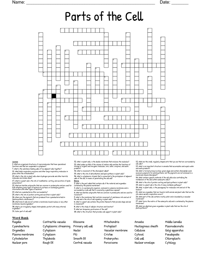 Parts of the Cell Crossword