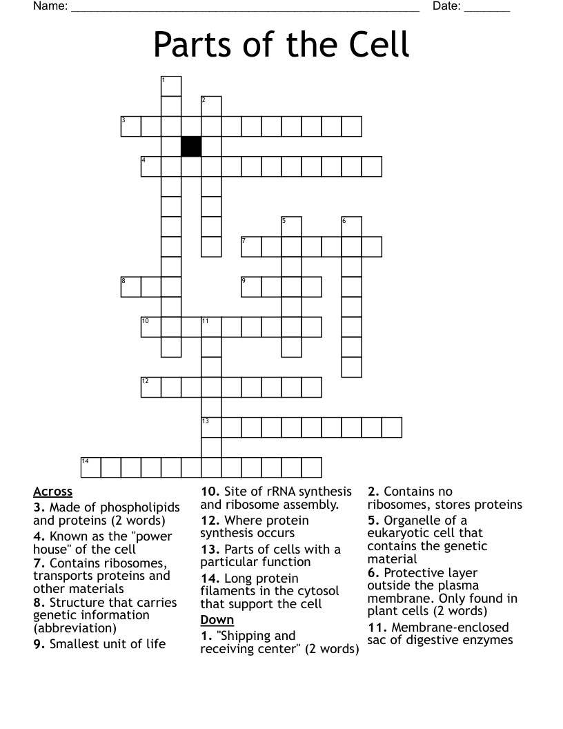 Parts of the Cell  Crossword