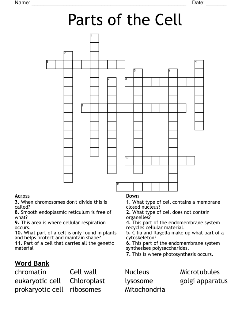 Parts of the Cell  Crossword