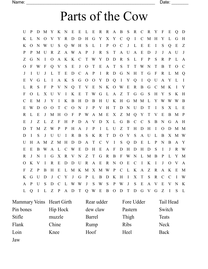 Parts of the Cow  Word Search