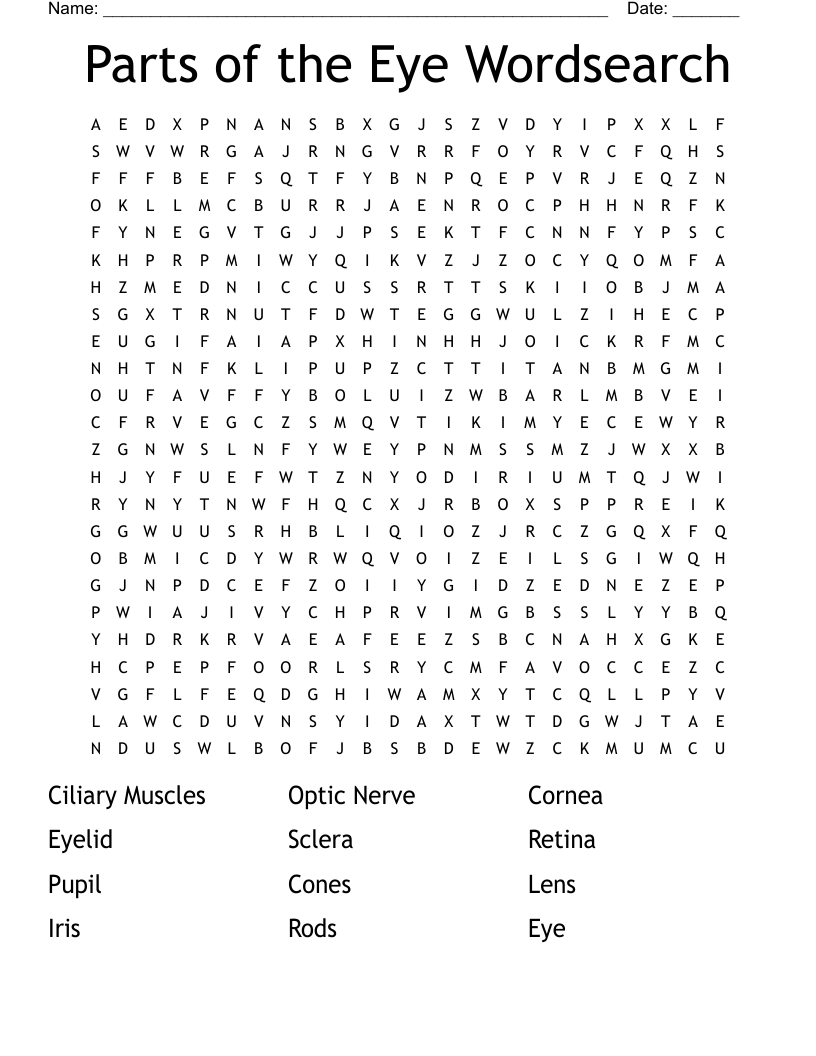 Parts of the Eye Wordsearch