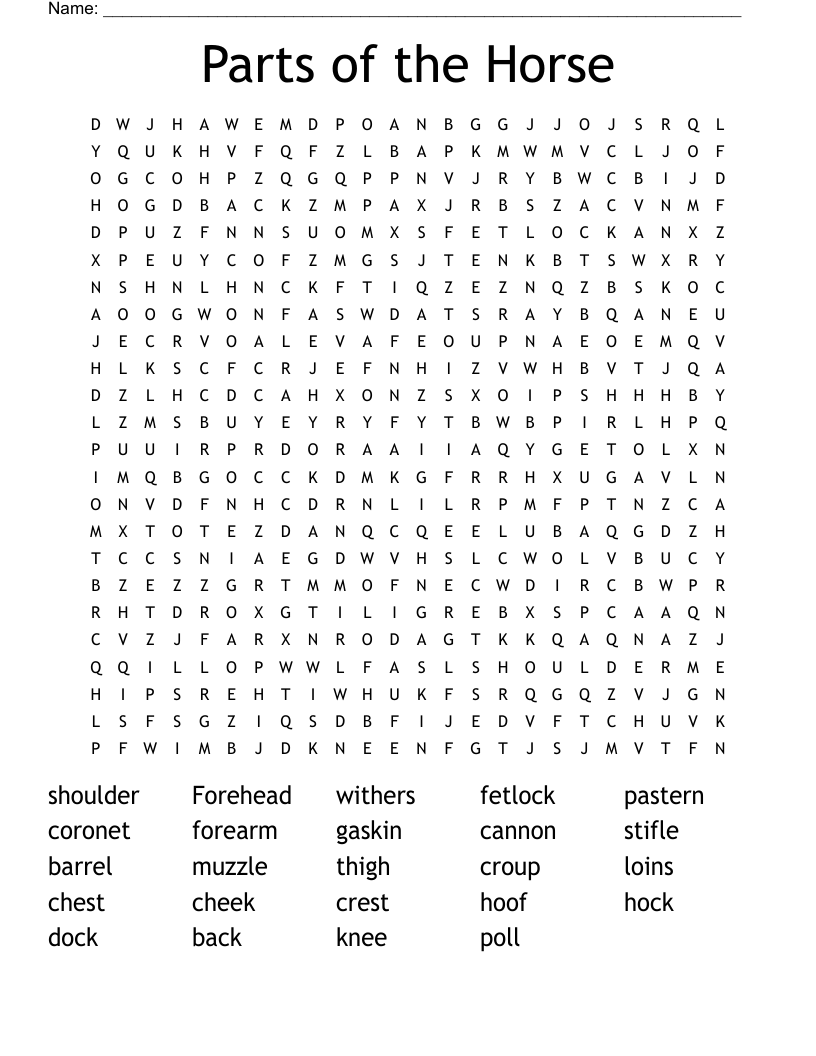 Parts of the Horse Word Search