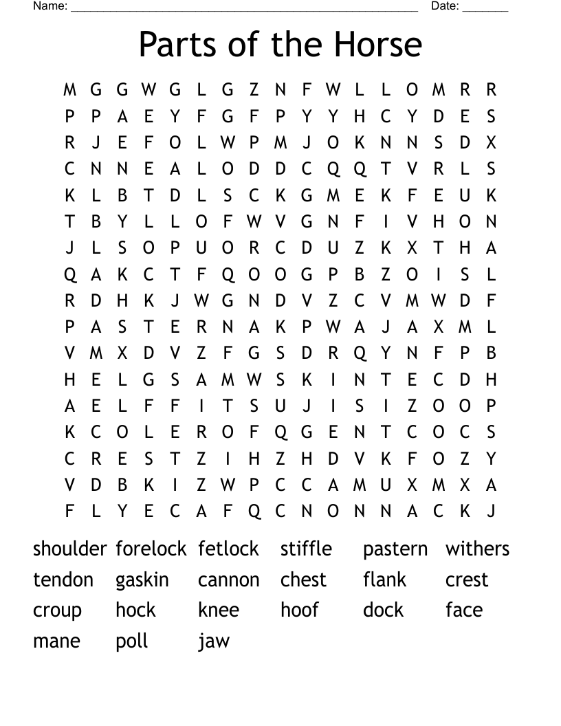 Parts of the Horse Word Search