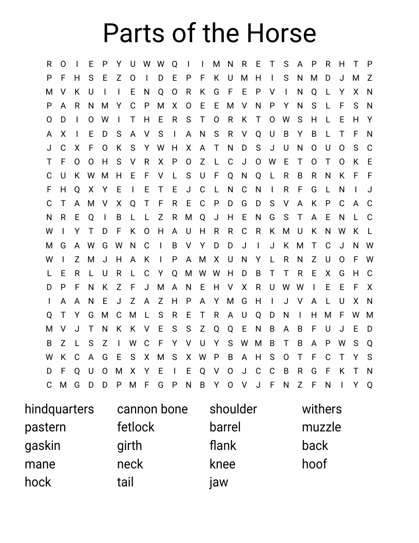 Parts of the Horse Word Search