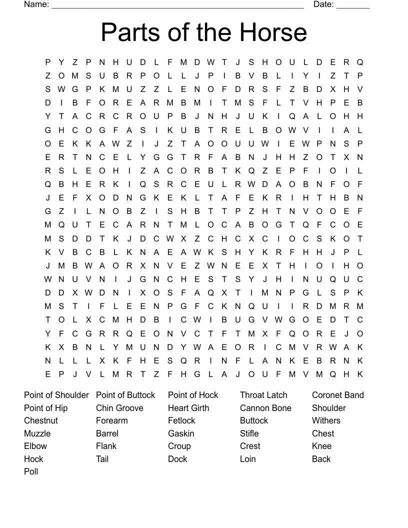 Parts of the Horse Word Search