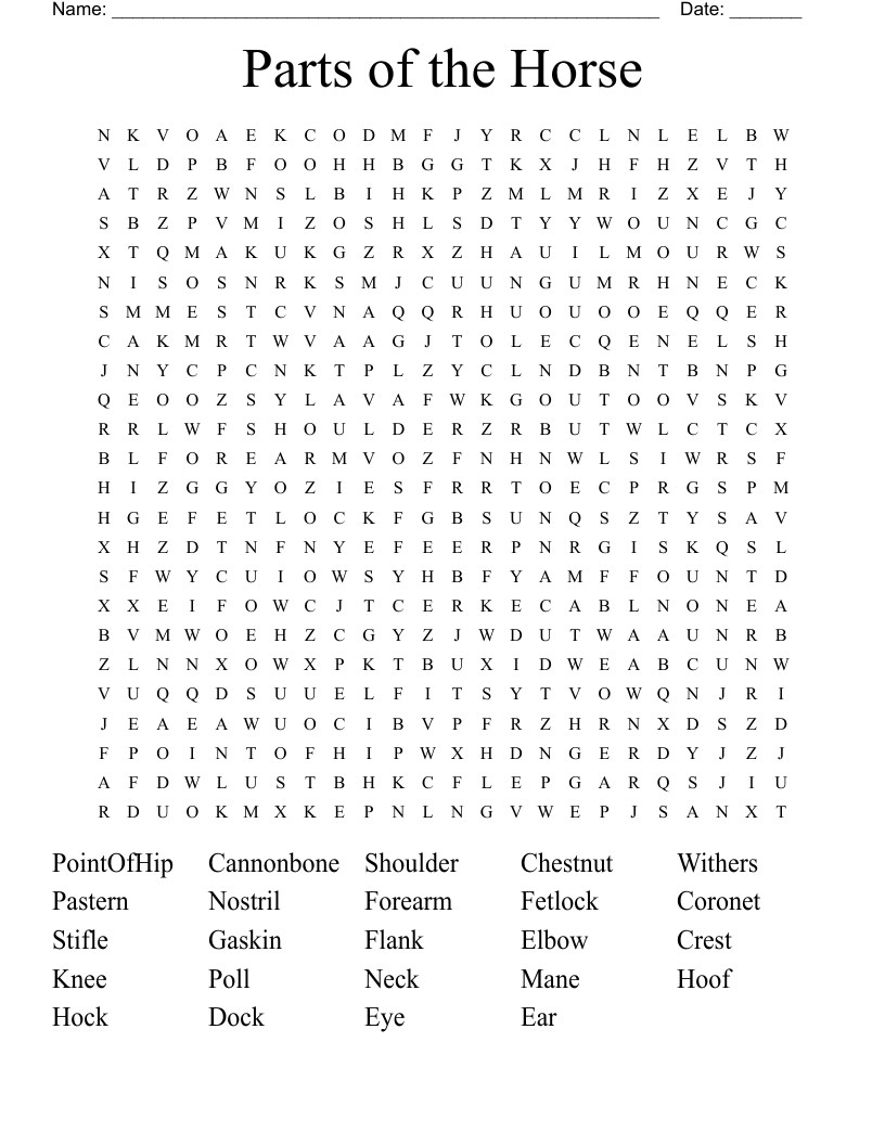 Parts of the Horse Word Search