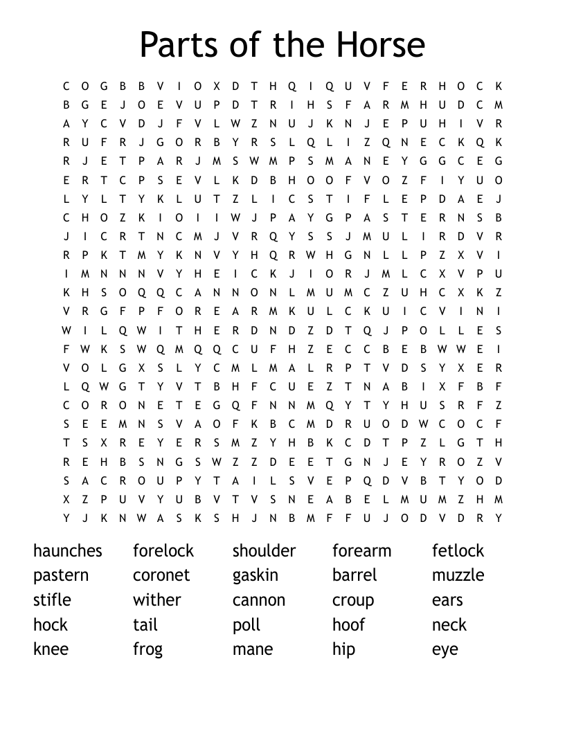 Parts of the Horse Word Search