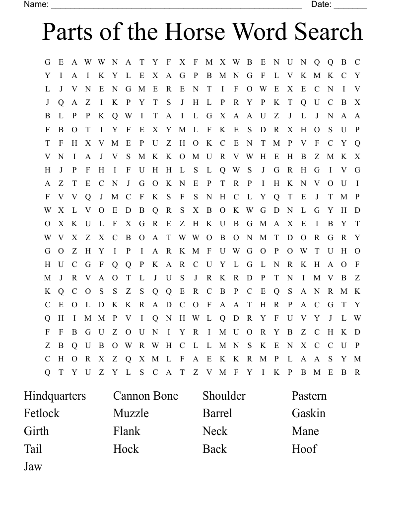 Parts of the Horse Word Search