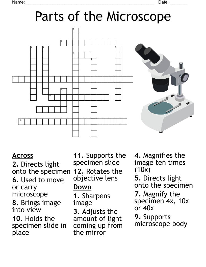 Parts of the Microscope Crossword