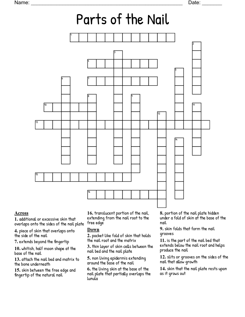 Parts of the Nail Crossword