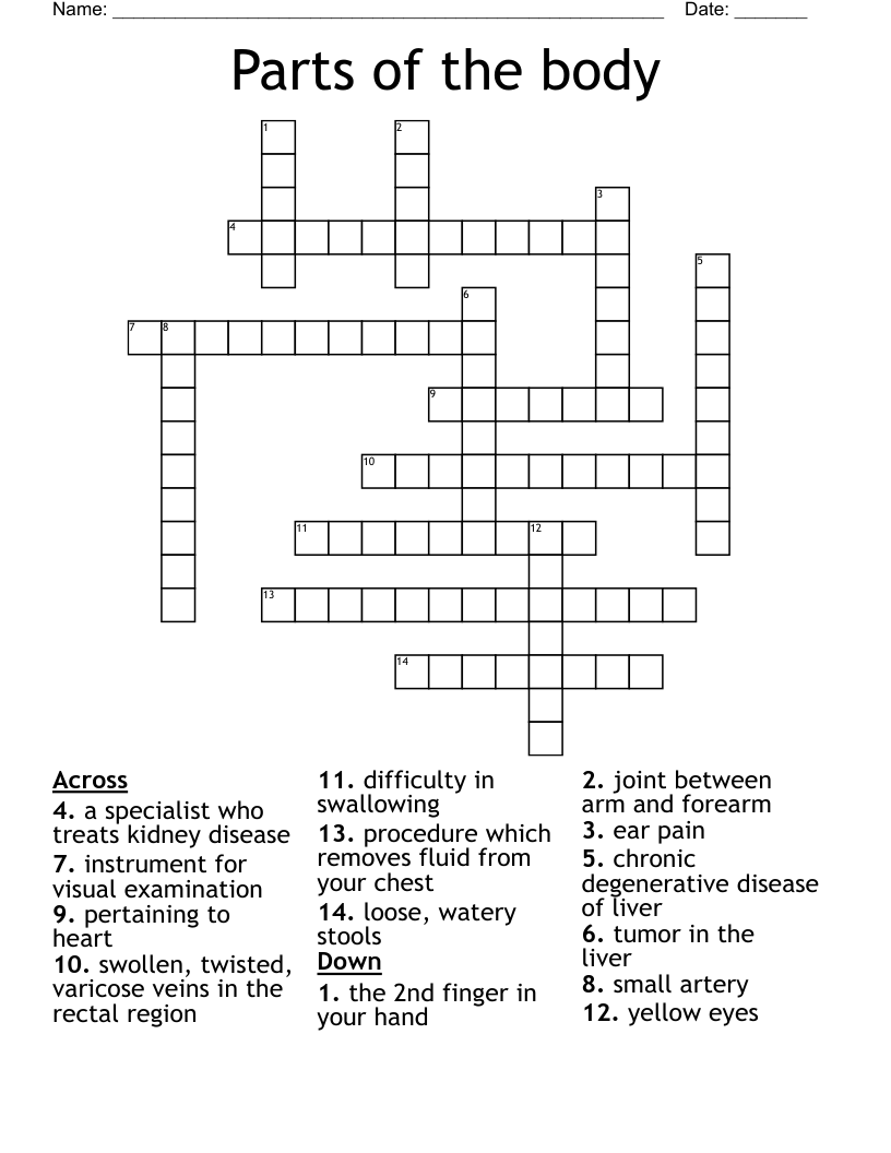 Parts of the body Crossword