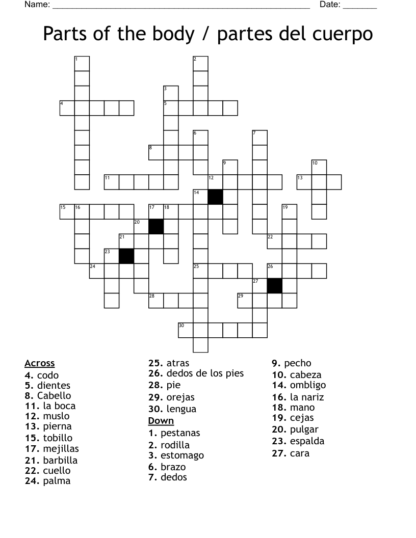 Parts of the body / partes del cuerpo Crossword