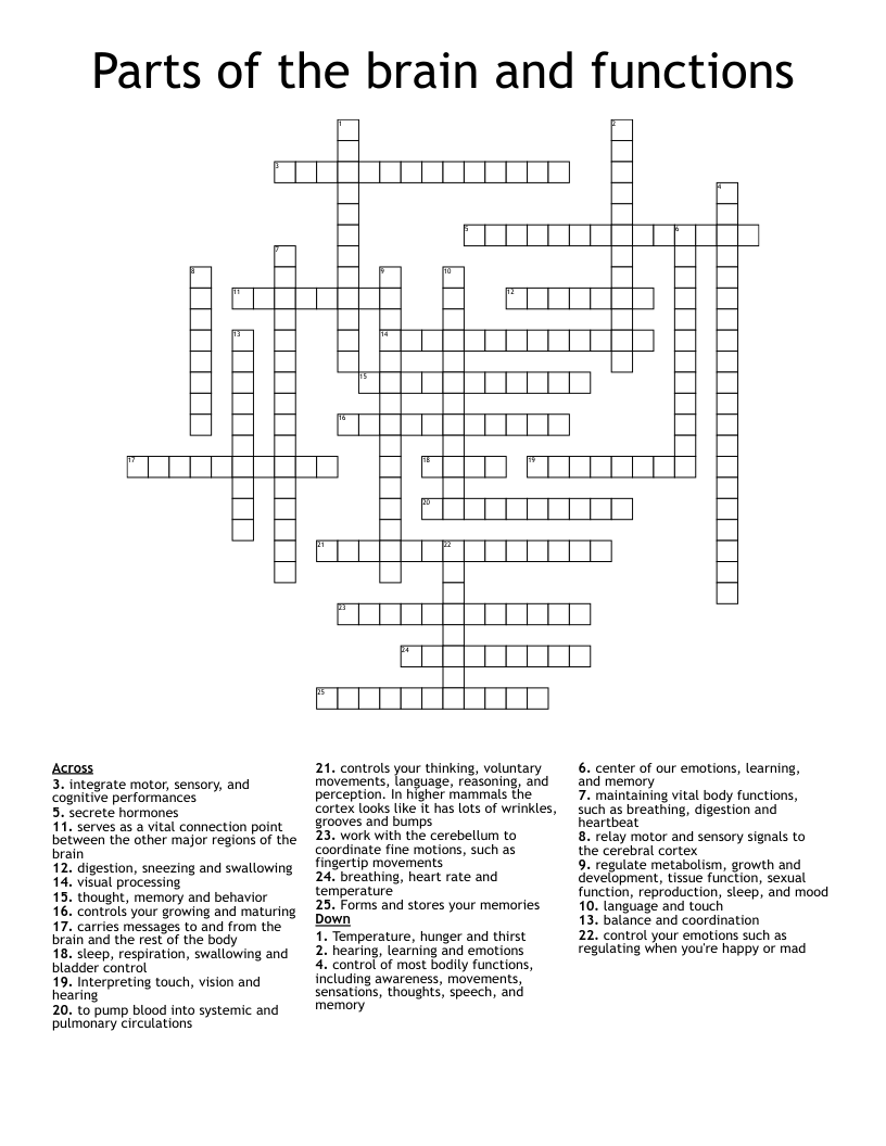 Parts of the brain and functions Crossword