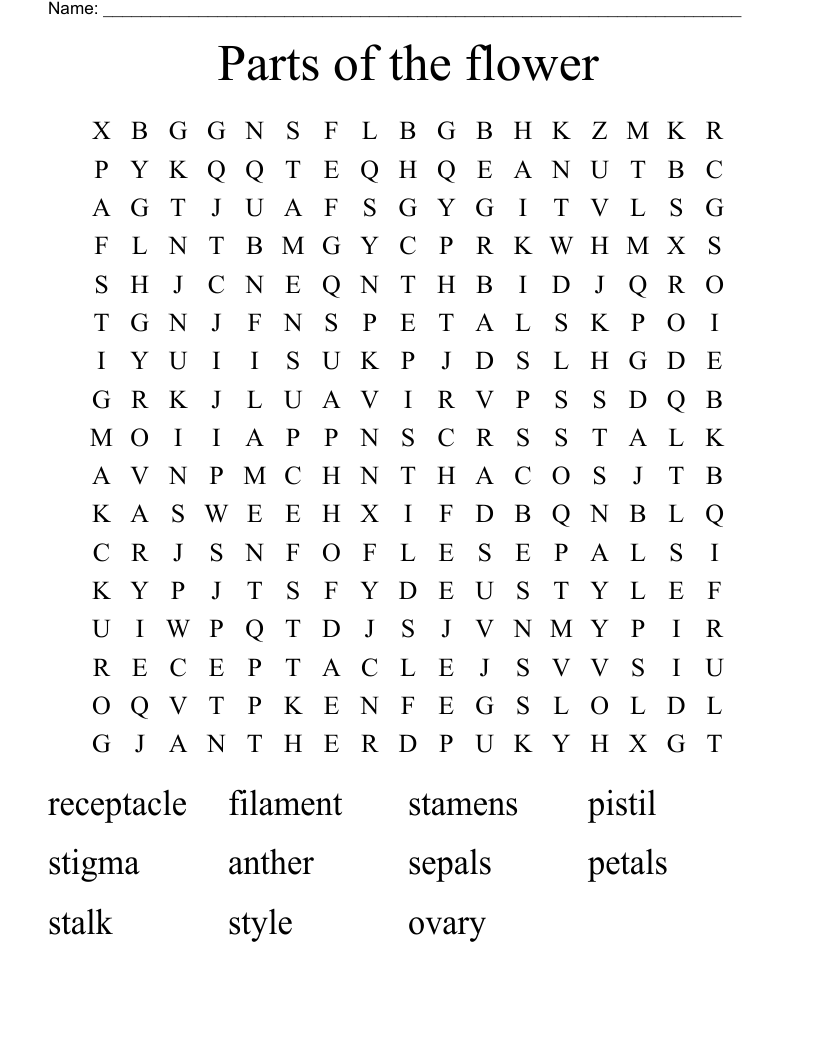 Parts of the flower Word Search