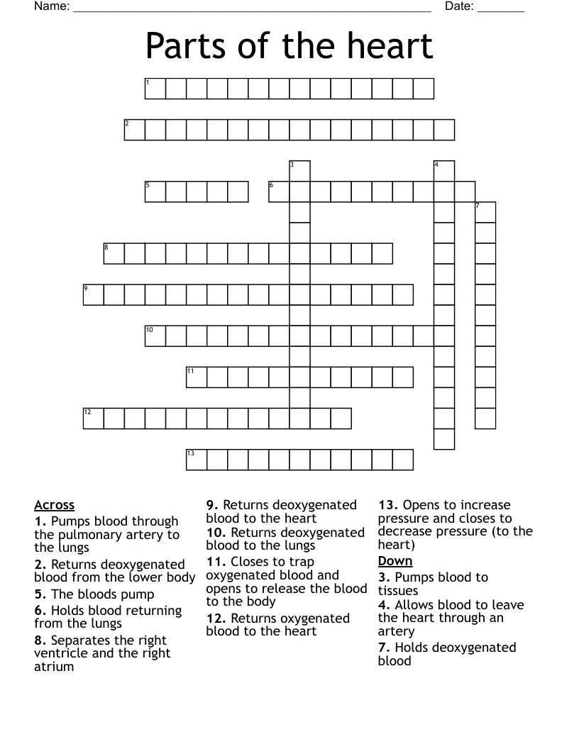 Parts of the heart Crossword