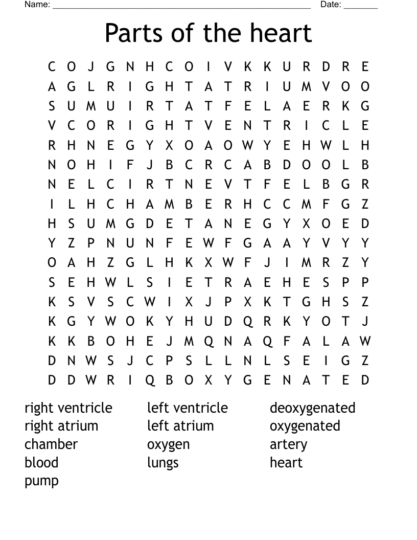 Parts of the heart Word Search