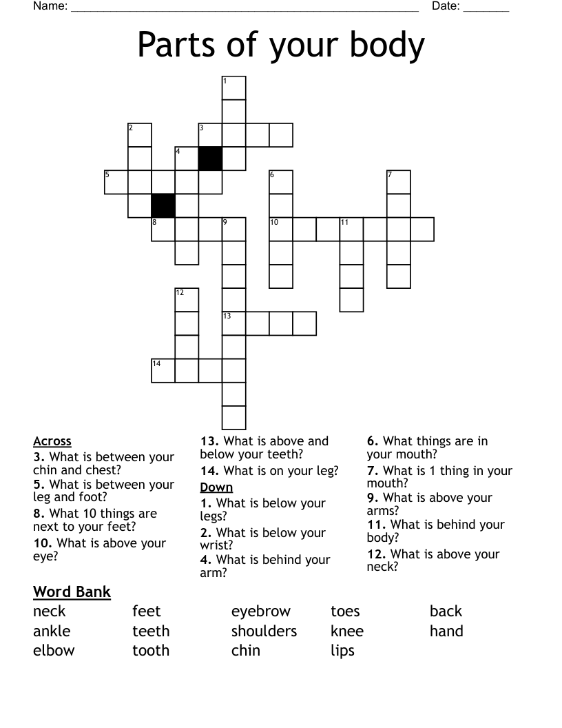Parts of your body Crossword