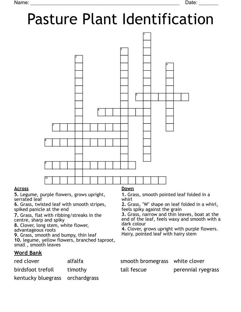 Pasture Plant Identification Crossword