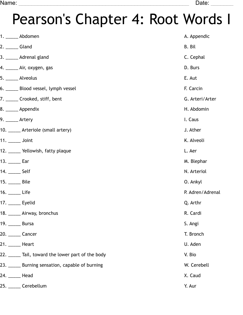 Pearson's Chapter 4: Root Words I Worksheet