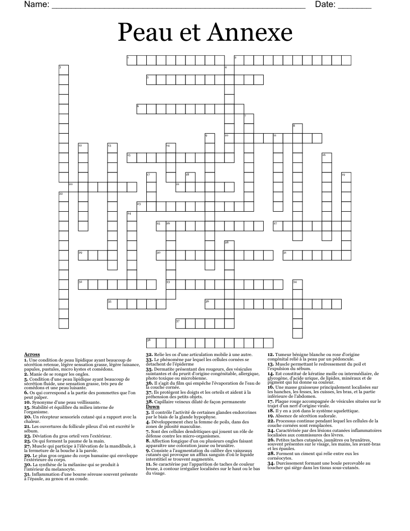 Peau et Annexe Crossword