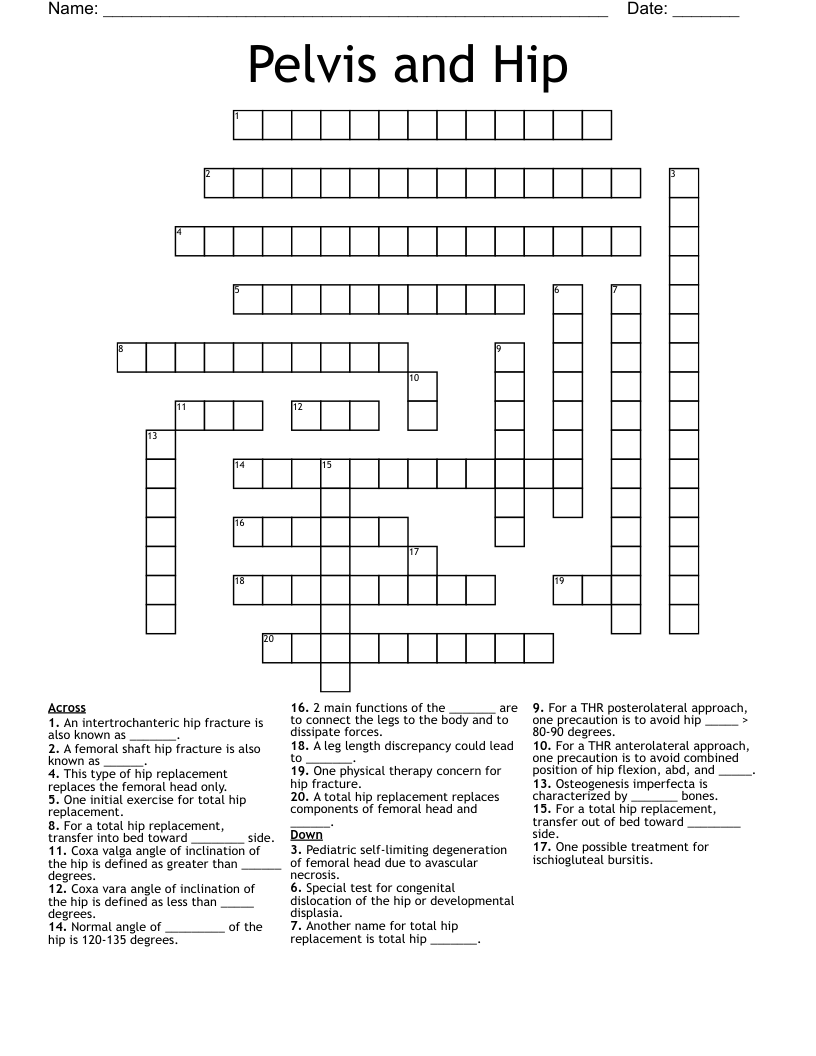 Pelvis and Hip Crossword
