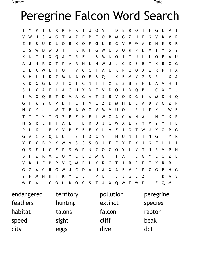 Peregrine Falcon Word Search