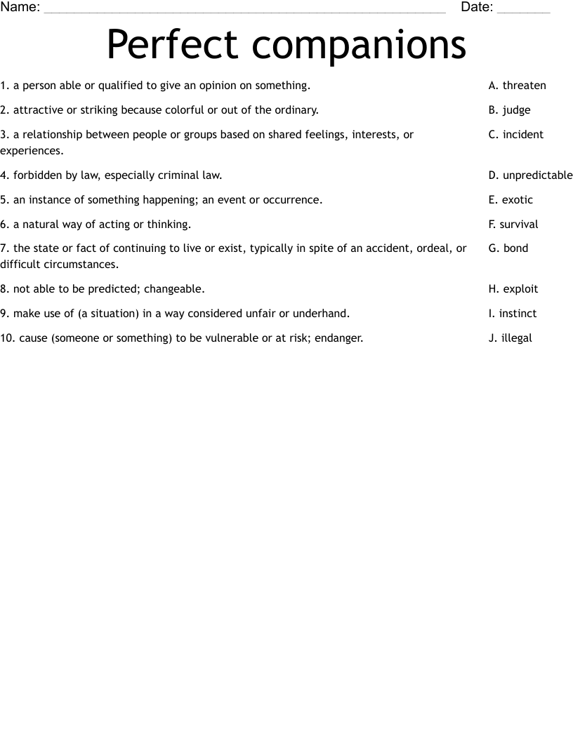 Perfect companions Worksheet