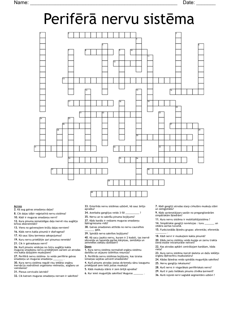 Perifērā nervu sistēma  Crossword