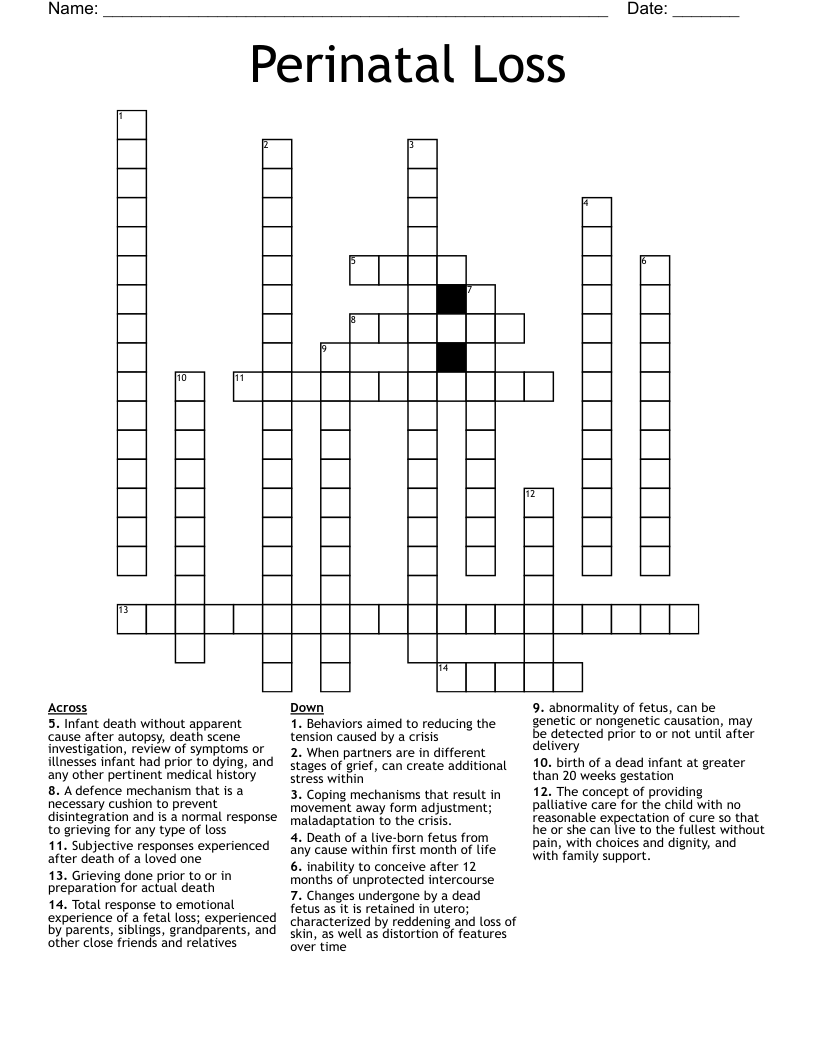 Perinatal Loss Crossword