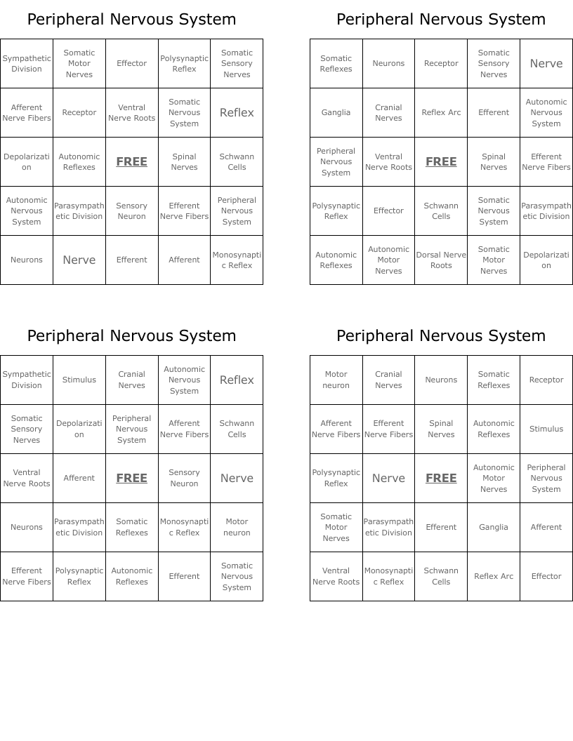 Peripheral Nervous System Bingo Cards