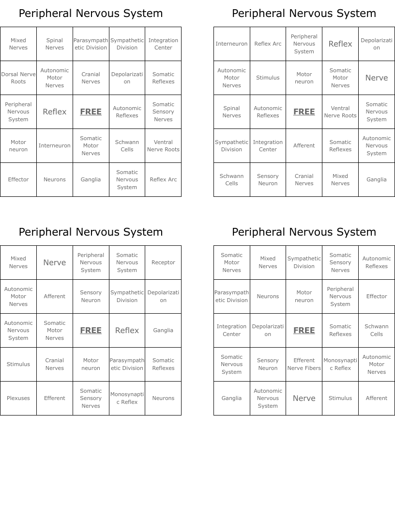Peripheral Nervous System Bingo Cards