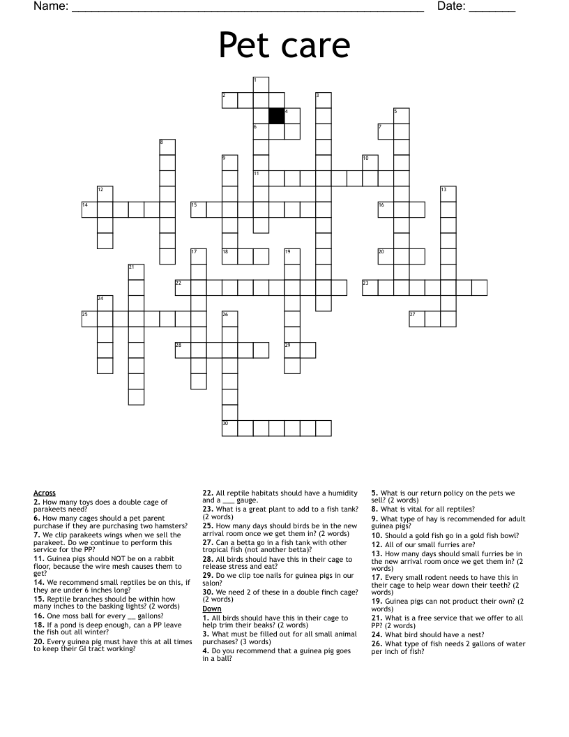 Pet care Crossword