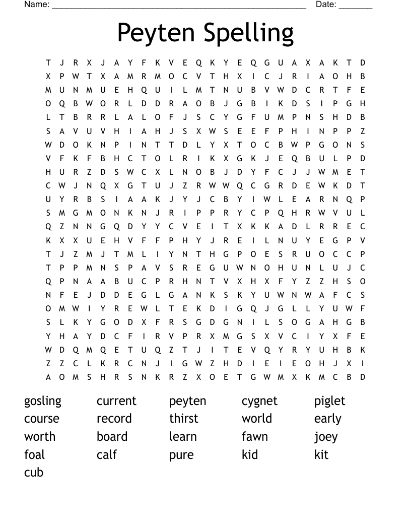 Peyten Spelling Word Search