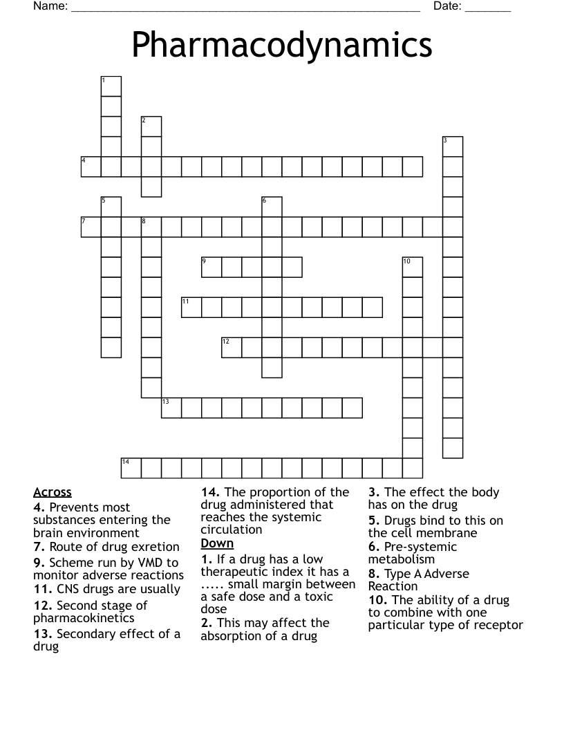 Pharmacodynamics Crossword
