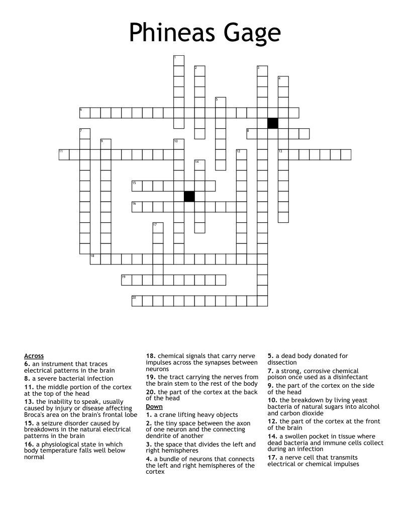 Phineas Gage Crossword