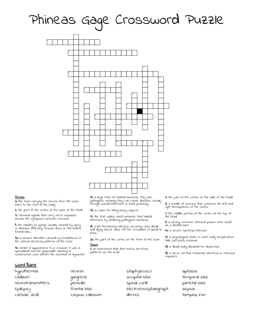 Phineas Gage Crossword Puzzle 