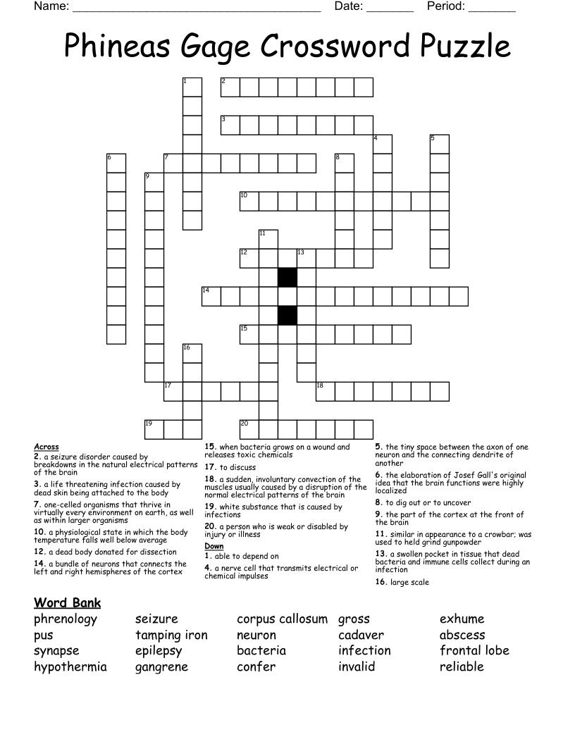 Phineas Gage Crossword Puzzle 