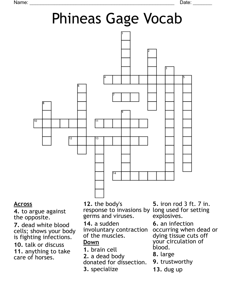 Phineas Gage Vocab Crossword