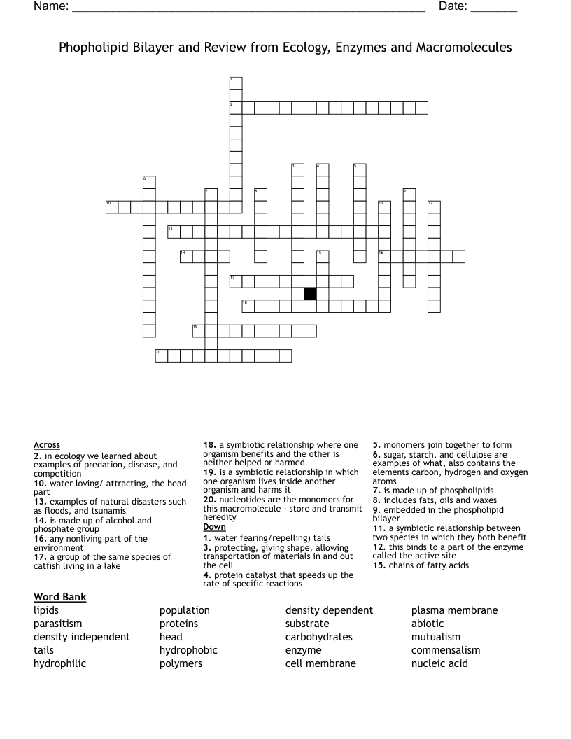 Phopholipid Bilayer and Review from Ecology, Enzymes and Macromolecules Crossword