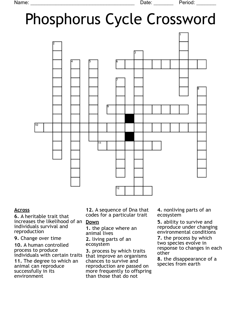 Phosphorus Cycle Crossword