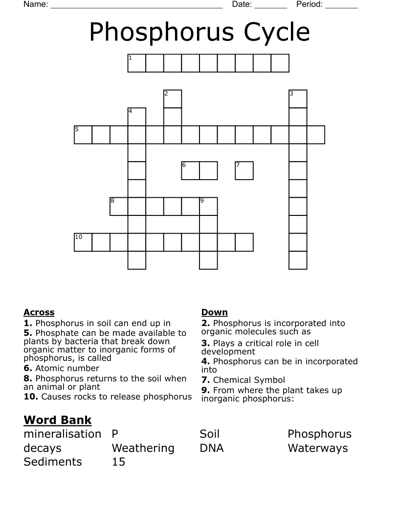 Phosphorus Cycle  Crossword