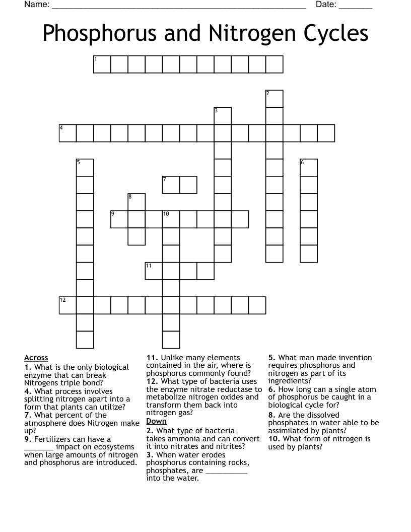 Phosphorus and Nitrogen Cycles Crossword