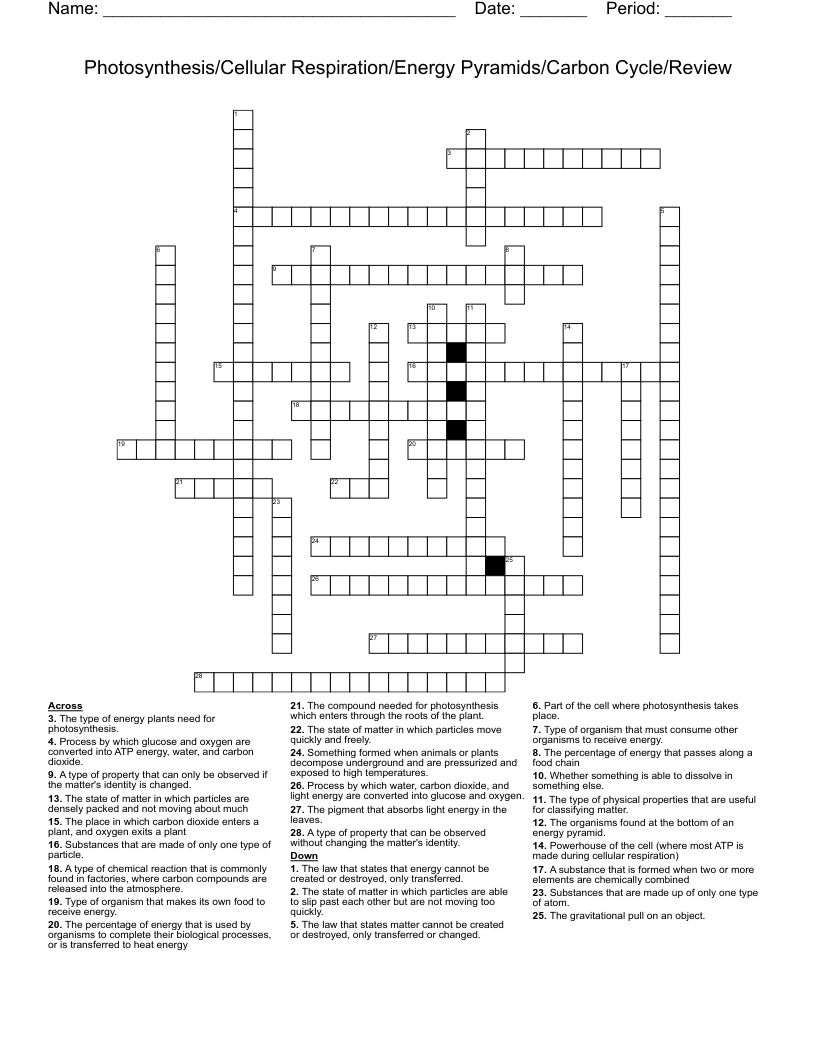 Photosynthesis/Cellular Respiration/Energy Pyramids/Carbon Cycle/Review Crossword