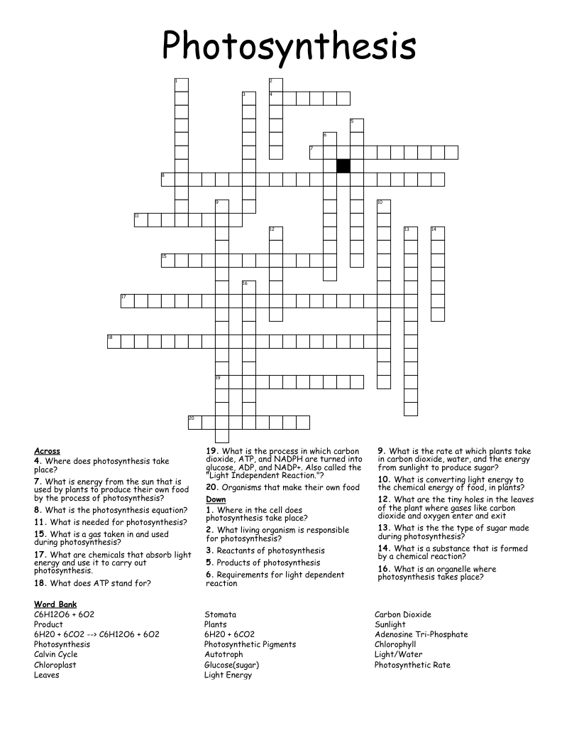 Photosynthesis Crossword