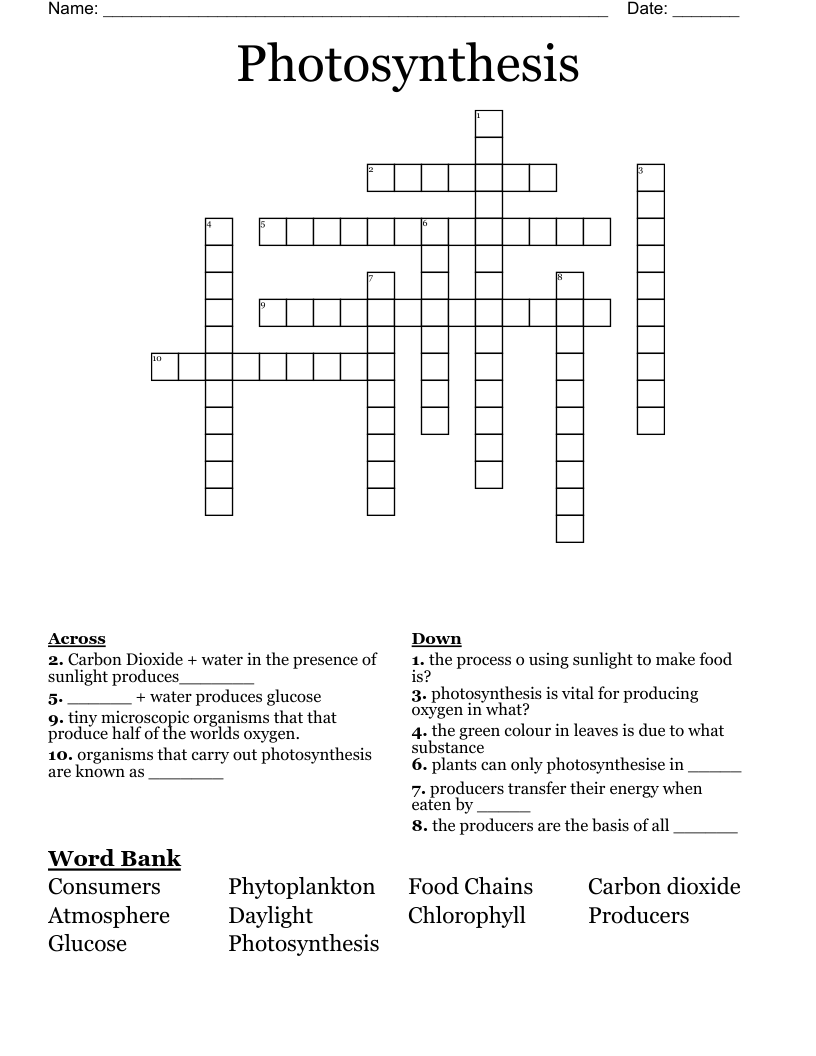 Photosynthesis Crossword
