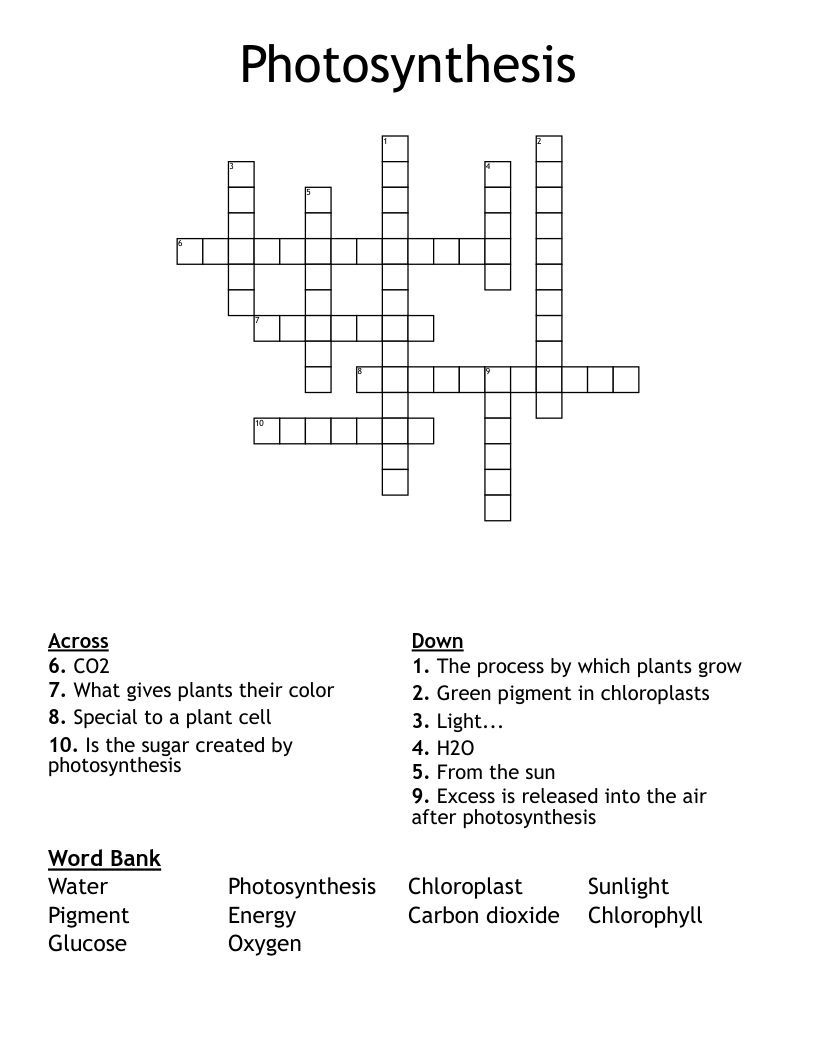 Photosynthesis Crossword