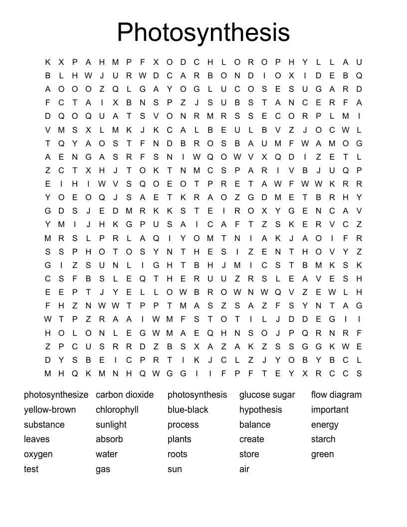 Photosynthesis Word Search